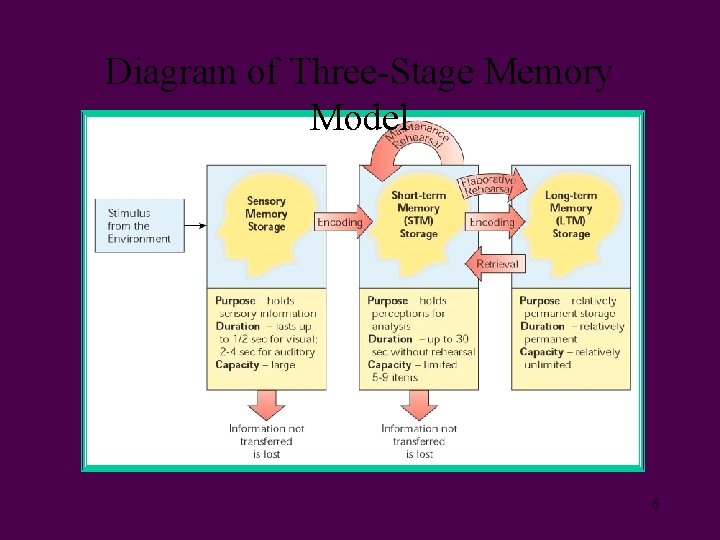 Diagram of Three-Stage Memory Model 6 
