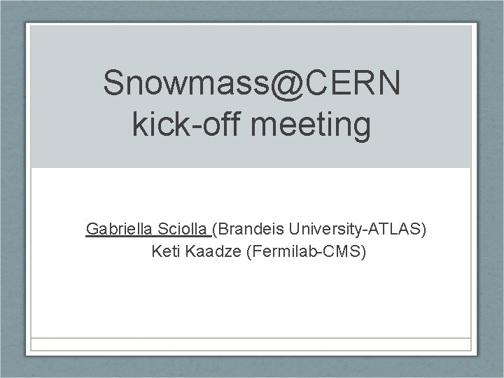 Snowmass@CERN kick-off meeting Gabriella Sciolla (Brandeis University-ATLAS) Keti Kaadze (Fermilab-CMS) 