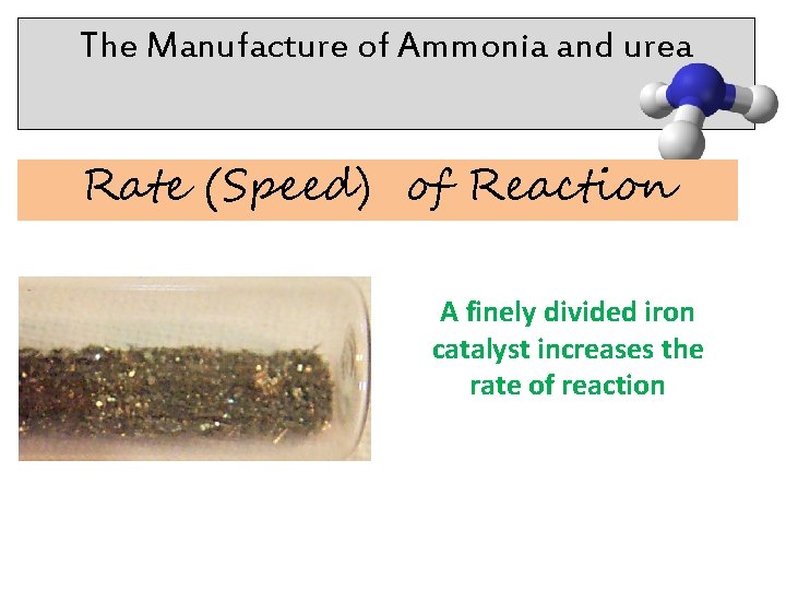 The Manufacture of Ammonia and urea Rate (Speed) of Reaction A finely divided iron