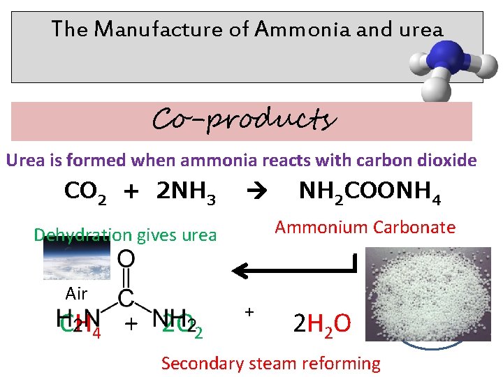 The Manufacture of Ammonia and urea Co-products Urea is formed when ammonia reacts with