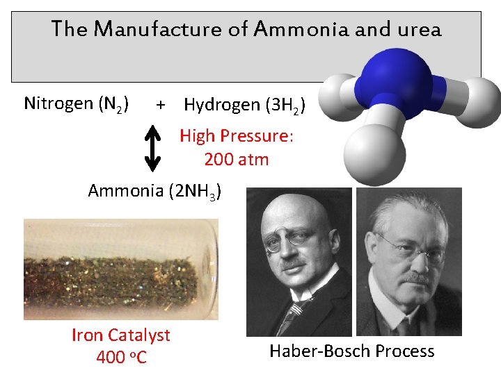 The Manufacture of Ammonia and urea Nitrogen (N 2) + Hydrogen (3 H 2)