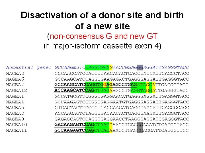 Disactivation of a donor site and birth of a new site (non-consensus G and