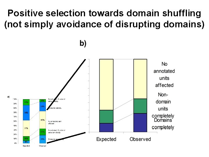 Positive selection towards domain shuffling (not simply avoidance of disrupting domains) 