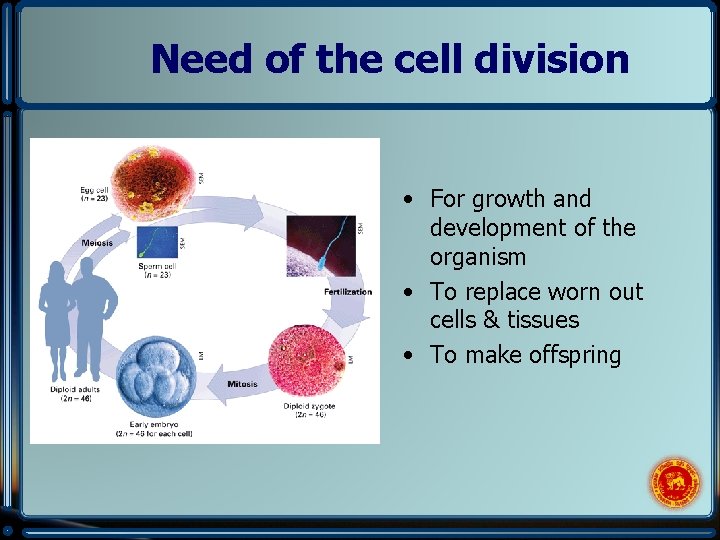 Need of the cell division • For growth and development of the organism •