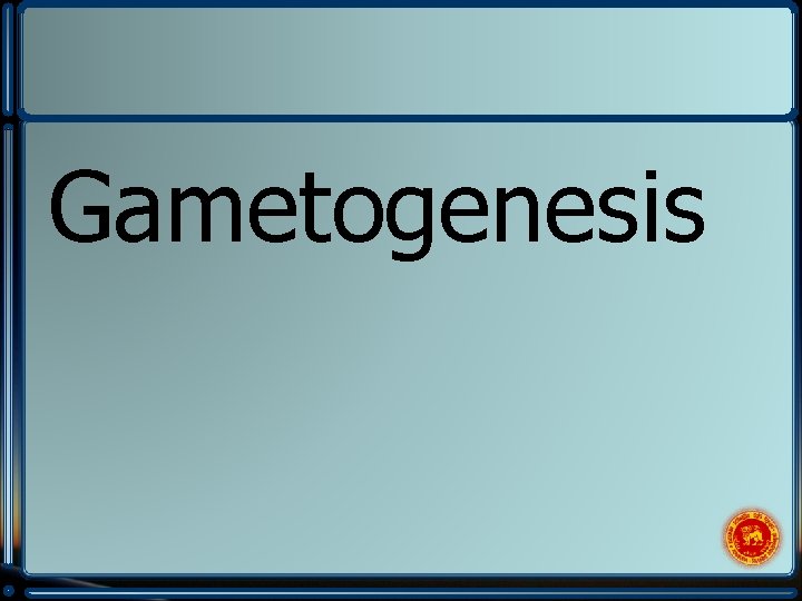 Gametogenesis 
