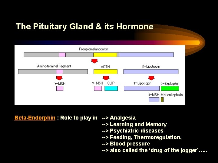 The Pituitary Gland & its Hormone Beta-Endorphin : Role to play in --> Analgesia