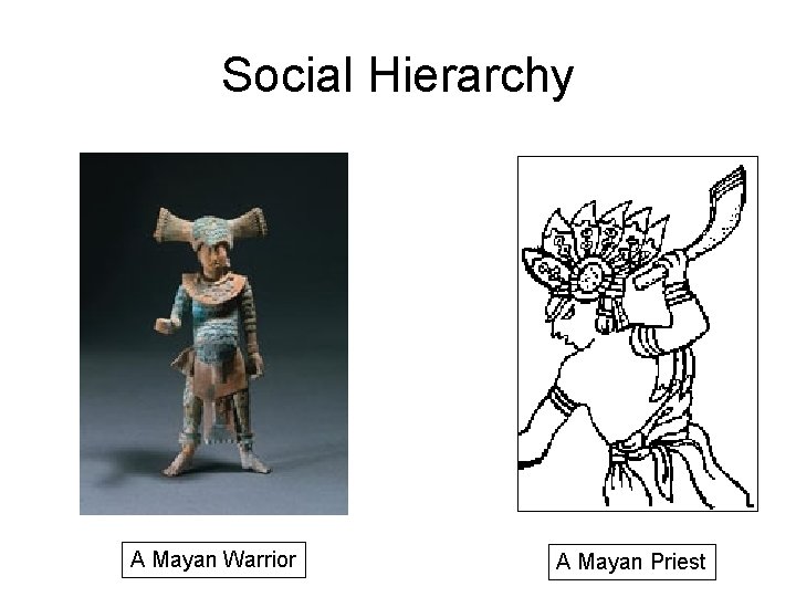 Social Hierarchy A Mayan Warrior A Mayan Priest 