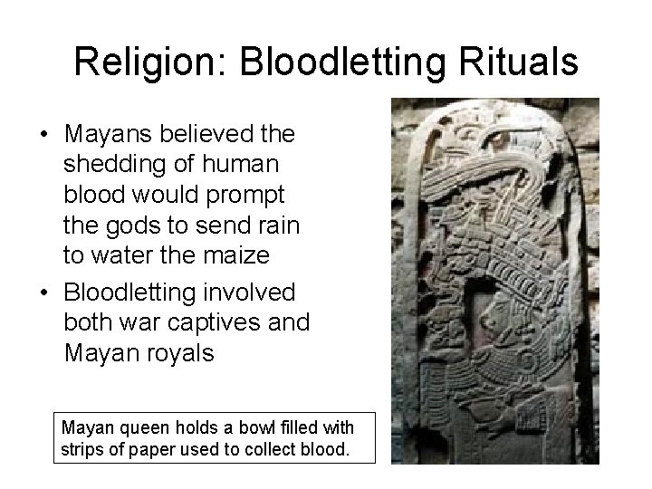 Religion: Bloodletting Rituals • Mayans believed the shedding of human blood would prompt the