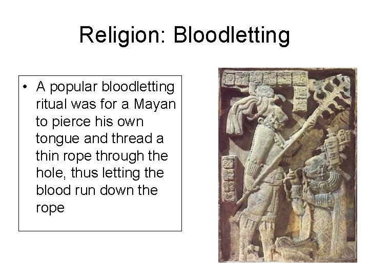 Religion: Bloodletting • A popular bloodletting ritual was for a Mayan to pierce his