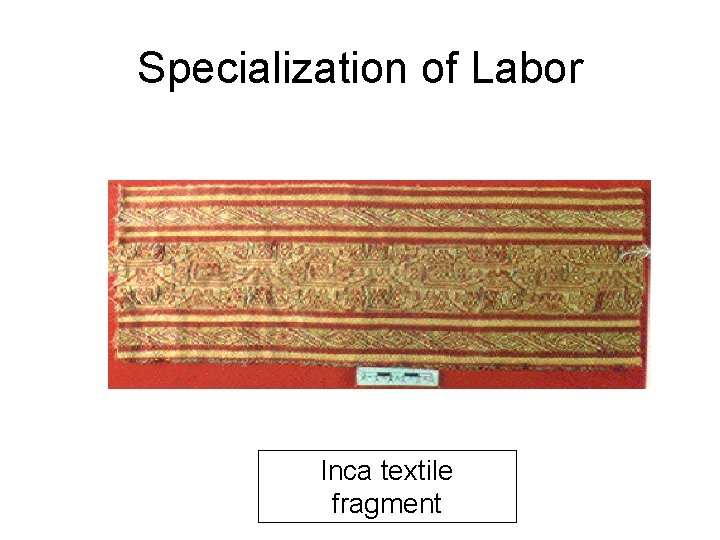 Specialization of Labor Inca textile fragment 