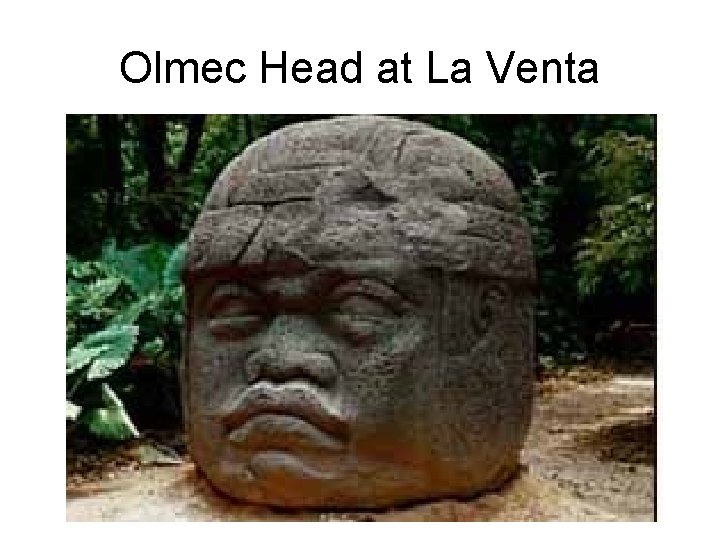 Olmec Head at La Venta 