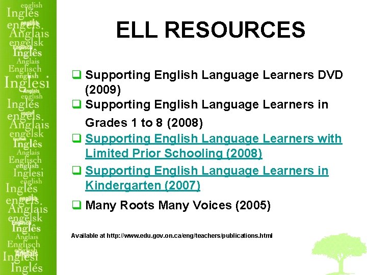 ELL RESOURCES q Supporting English Language Learners DVD (2009) q Supporting English Language Learners