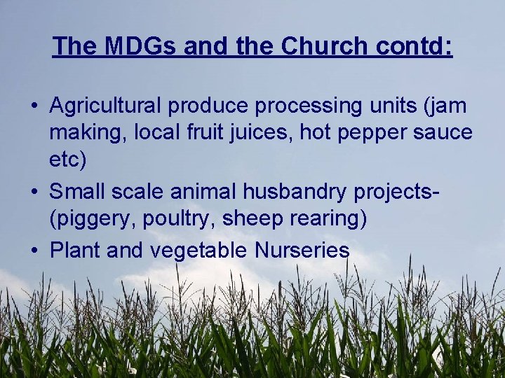 The MDGs and the Church contd: • Agricultural produce processing units (jam making, local