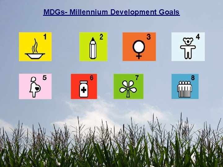 MDGs- Millennium Development Goals 