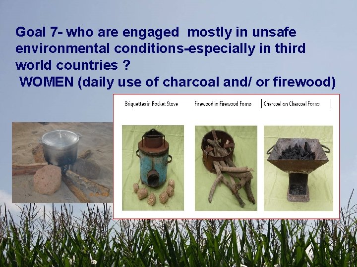 Goal 7 - who are engaged mostly in unsafe environmental conditions-especially in third world