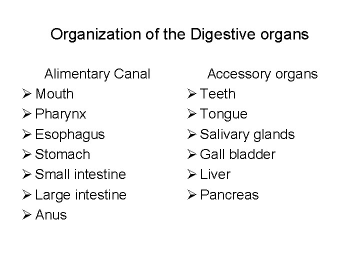 Organization of the Digestive organs Alimentary Canal Ø Mouth Ø Pharynx Ø Esophagus Ø