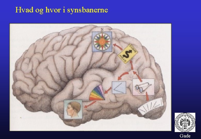 Hvad og hvor i synsbanerne Gade 