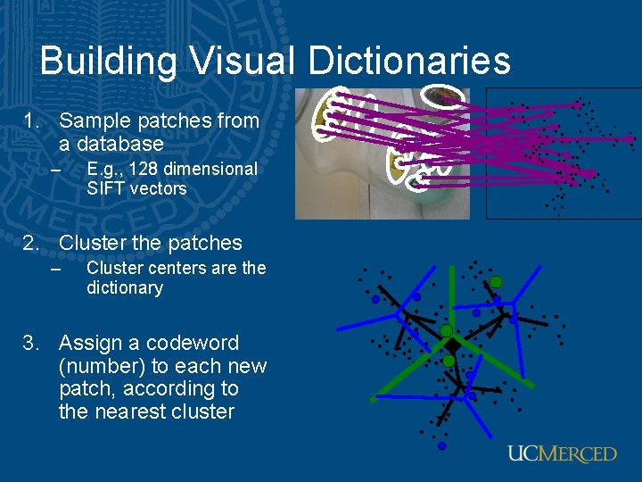 Building Visual Dictionaries 1. Sample patches from a database – E. g. , 128