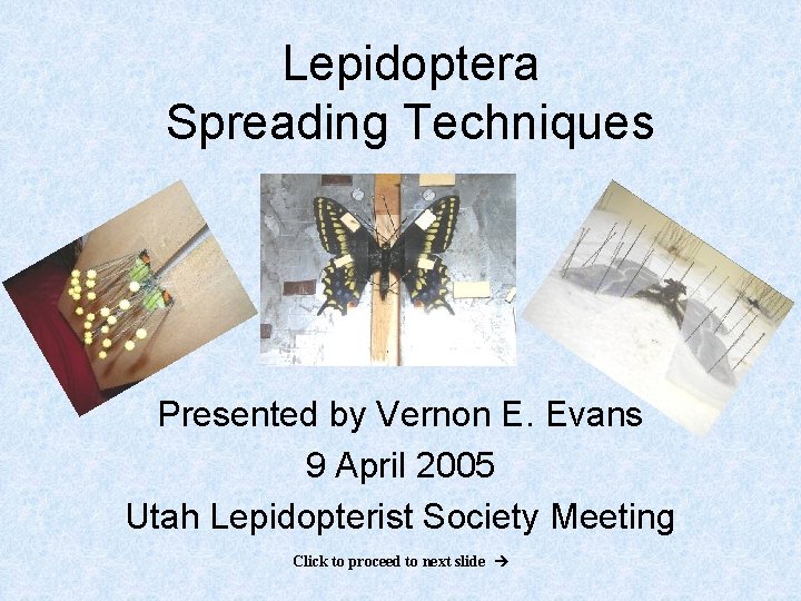 Lepidoptera Spreading Techniques Presented by Vernon E. Evans 9 April 2005 Utah Lepidopterist Society