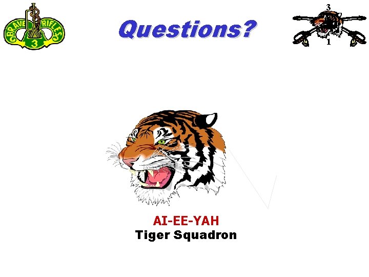 Questions? AI-EE-YAH Tiger Squadron 3 1 