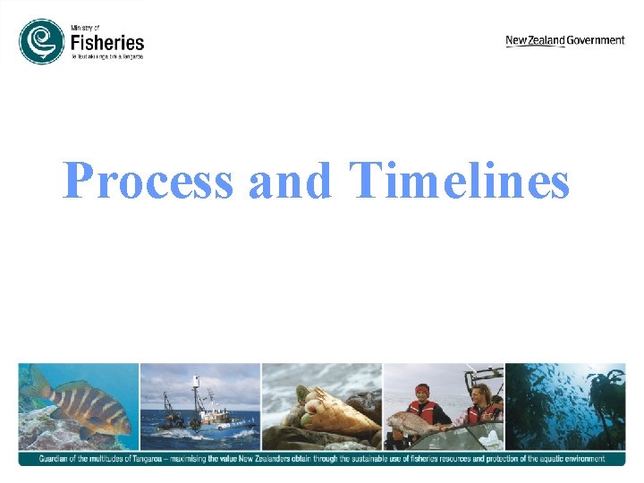 Process and Timelines 