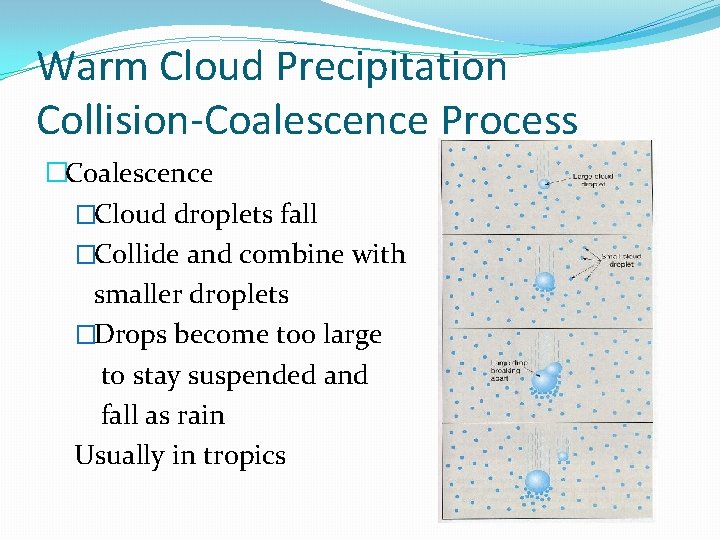 Warm Cloud Precipitation Collision-Coalescence Process �Coalescence �Cloud droplets fall �Collide and combine with smaller