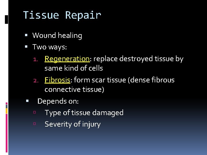 Tissue Repair Wound healing Two ways: 1. Regeneration: replace destroyed tissue by same kind