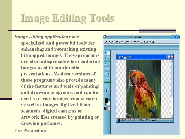 Image Editing Tools Image editing applications are specialized and powerful tools for enhancing and