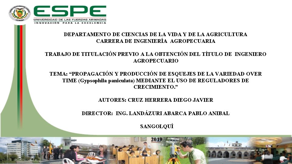 DEPARTAMENTO DE CIENCIAS DE LA VIDA Y DE LA AGRICULTURA CARRERA DE INGENIERÍA AGROPECUARIA