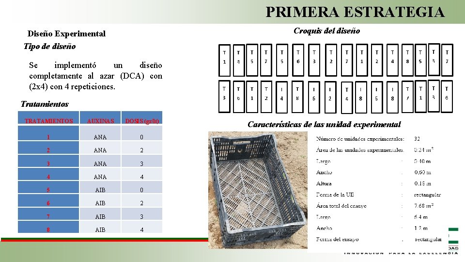 PRIMERA ESTRATEGIA Croquis del diseño Diseño Experimental Tipo de diseño Se implementó un diseño