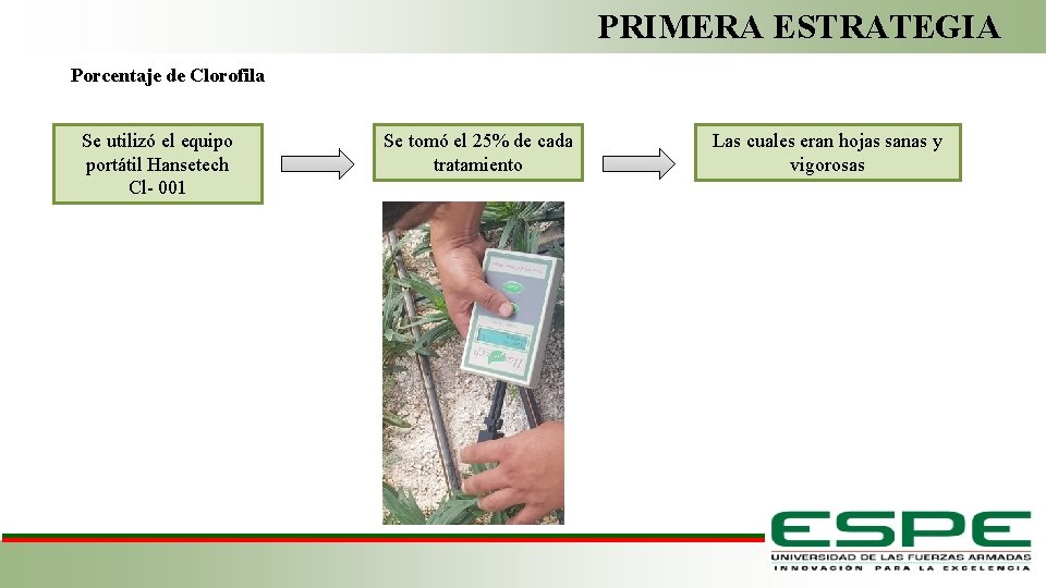 PRIMERA ESTRATEGIA Porcentaje de Clorofila Se utilizó el equipo portátil Hansetech Cl- 001 Se