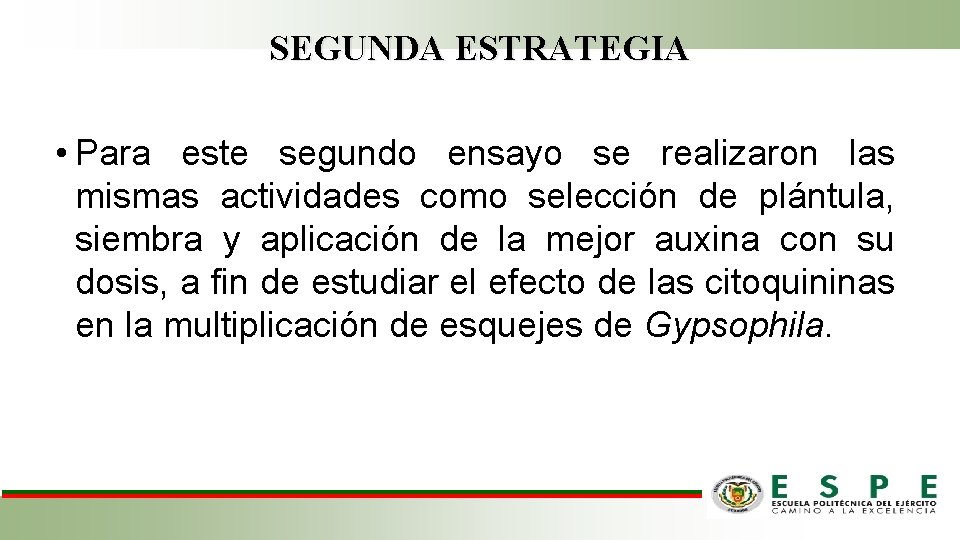 SEGUNDA ESTRATEGIA • Para este segundo ensayo se realizaron las mismas actividades como selección