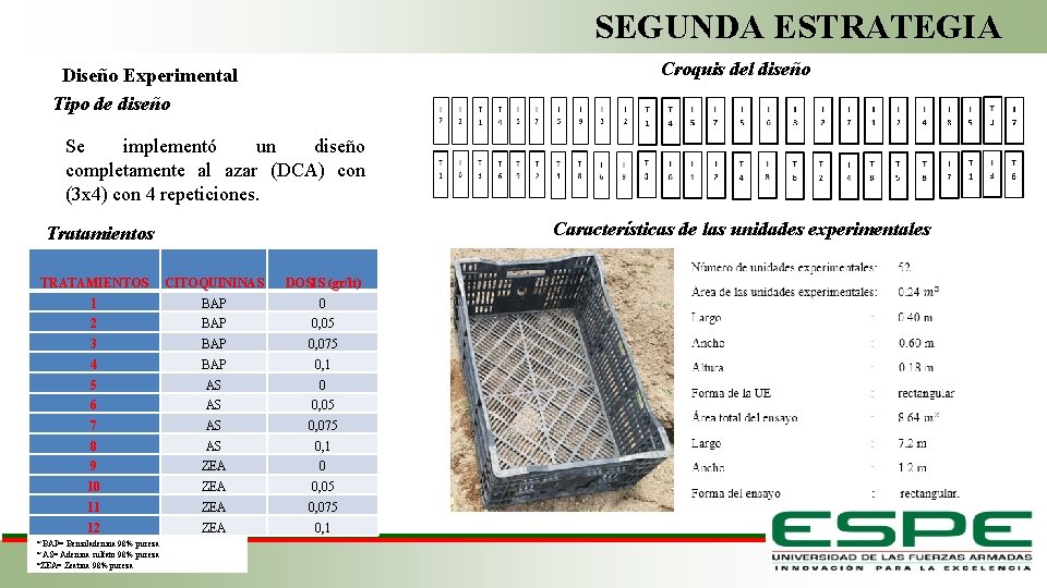 SEGUNDA ESTRATEGIA Croquis del diseño Diseño Experimental Tipo de diseño Se implementó un diseño