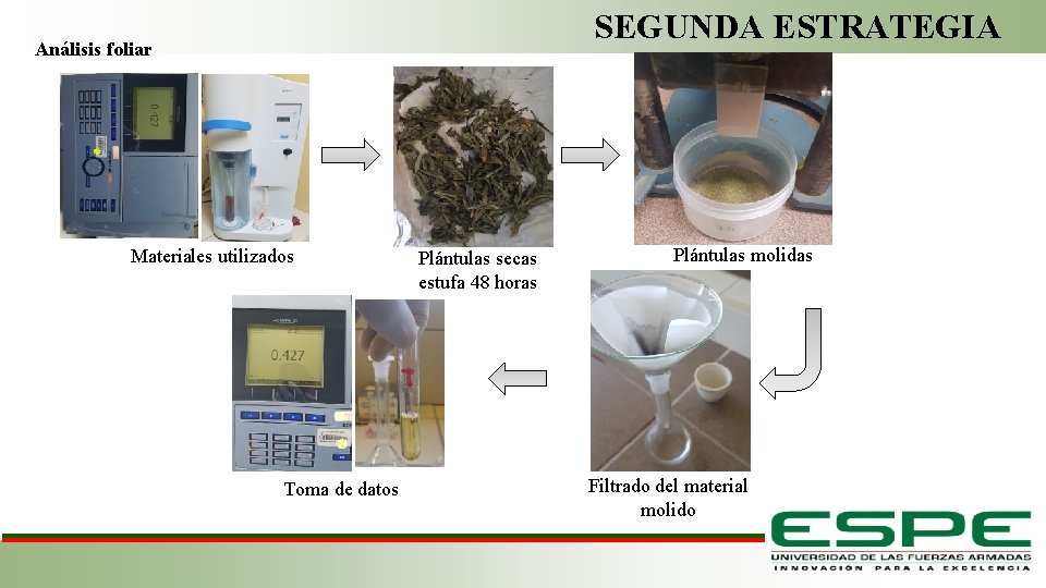 SEGUNDA ESTRATEGIA Análisis foliar Materiales utilizados Plántulas secas estufa 48 horas Plántulas molidas Fase