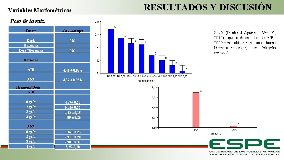 RESULTADOS Y DISCUSIÓN Variables Morfométricas Peso de la raíz. Fuente Peso raíz (gr) Dosis