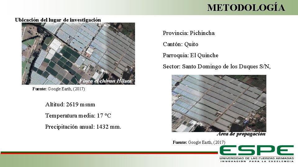 METODOLOGÍA Ubicación del lugar de investigación Provincia: Pichincha Cantón: Quito Parroquia: El Quinche Sector: