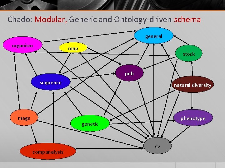 Chado: Modular, Generic and Ontology-driven schema general organism map stock pub sequence mage natural Chado: Modular, Generic and Ontology-driven schema general organism map stock pub sequence mage natural