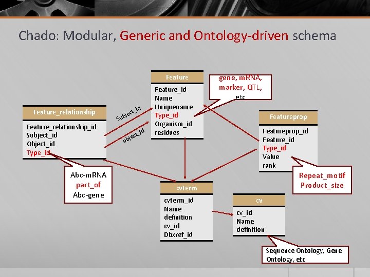 Chado: Modular, Generic and Ontology-driven schema Feature_relationship_id Subject_id Object_id Type_id Abc-m. RNA part_of Abc-gene Chado: Modular, Generic and Ontology-driven schema Feature_relationship_id Subject_id Object_id Type_id Abc-m. RNA part_of Abc-gene
