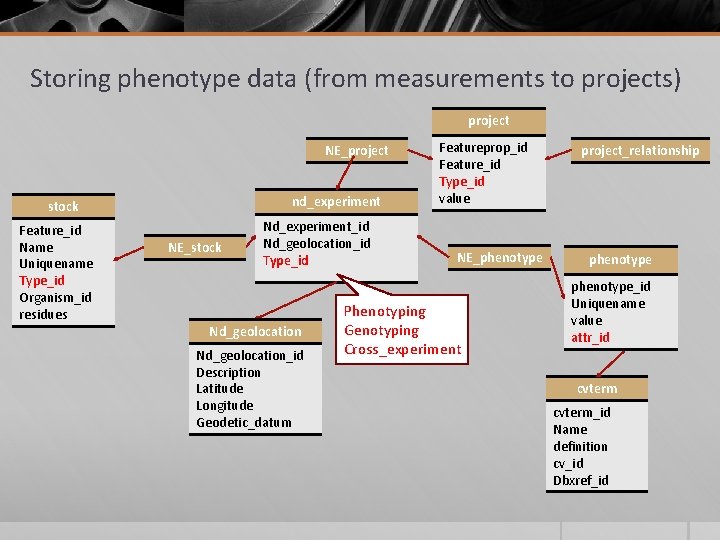 Storing phenotype data (from measurements to projects) project NE_project nd_experiment stock Feature_id Name Uniquename