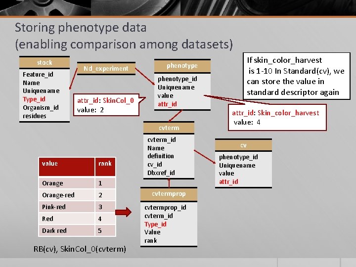 Storing phenotype data (enabling comparison among datasets) stock Feature_id Name Uniquename Type_id Organism_id residues