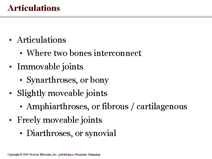 Articulations • Where two bones interconnect • Immovable joints • Synarthroses, or bony •