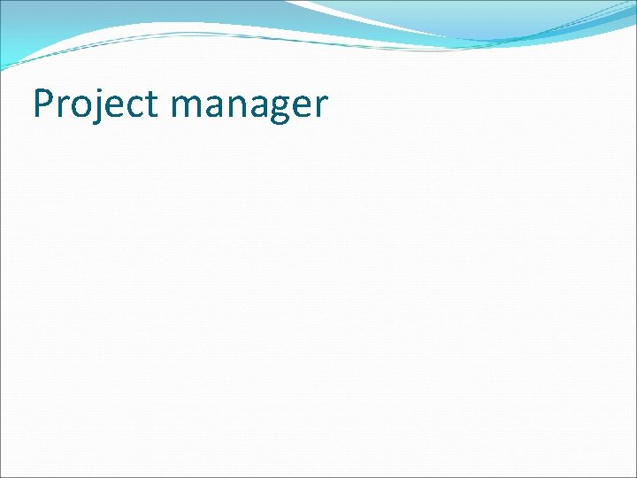 Project manager 