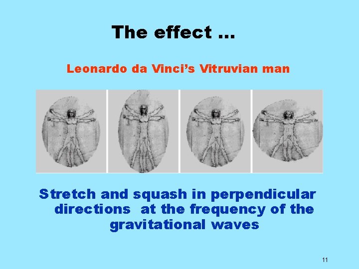 The effect … Leonardo da Vinci’s Vitruvian man Stretch and squash in perpendicular directions