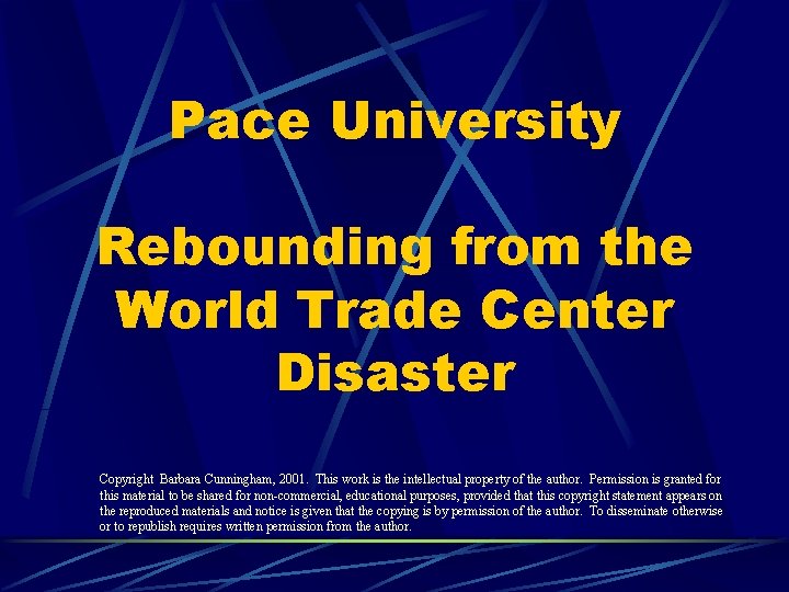 Pace University Rebounding from the World Trade Center Disaster Copyright Barbara Cunningham, 2001. This