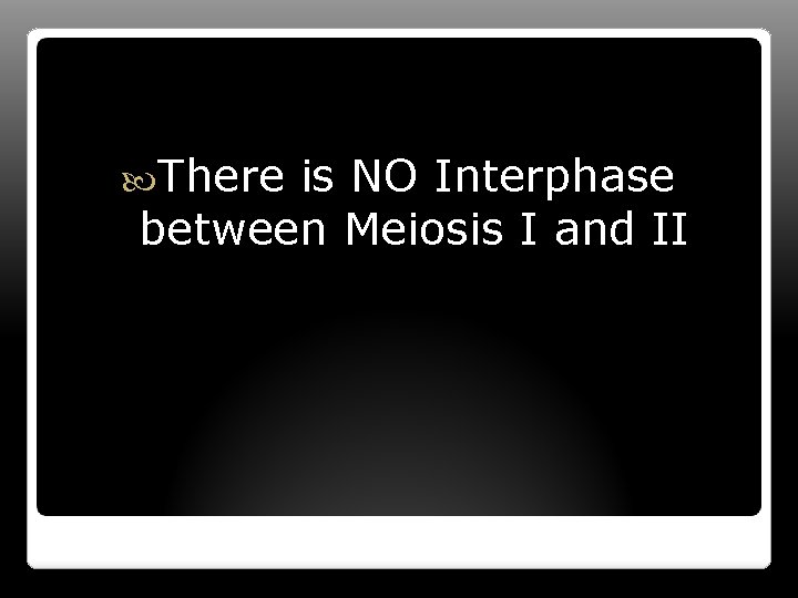  There is NO Interphase between Meiosis I and II 