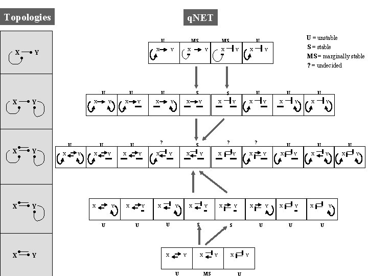Topologies q. NET U X X Y U X Y Y X X Y