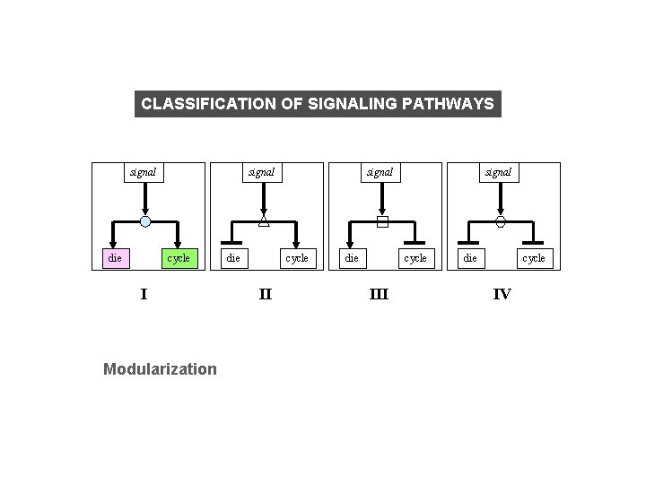 CLASSIFICATION OF SIGNALING PATHWAYS signal die signal cycle I Modularization die signal cycle III