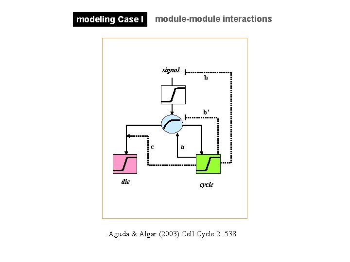 module-module interactions modeling Case I signal b b’ c die a cycle Aguda &