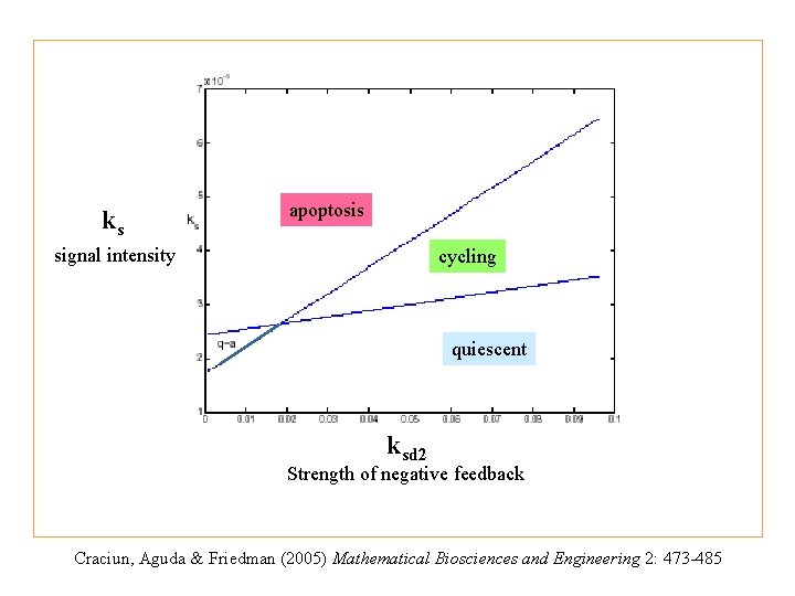 ks apoptosis signal intensity cycling quiescent ksd 2 Strength of negative feedback Craciun, Aguda