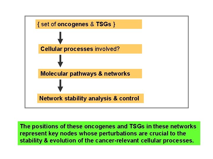 { set of oncogenes & TSGs } Cellular processes involved? Molecular pathways & networks